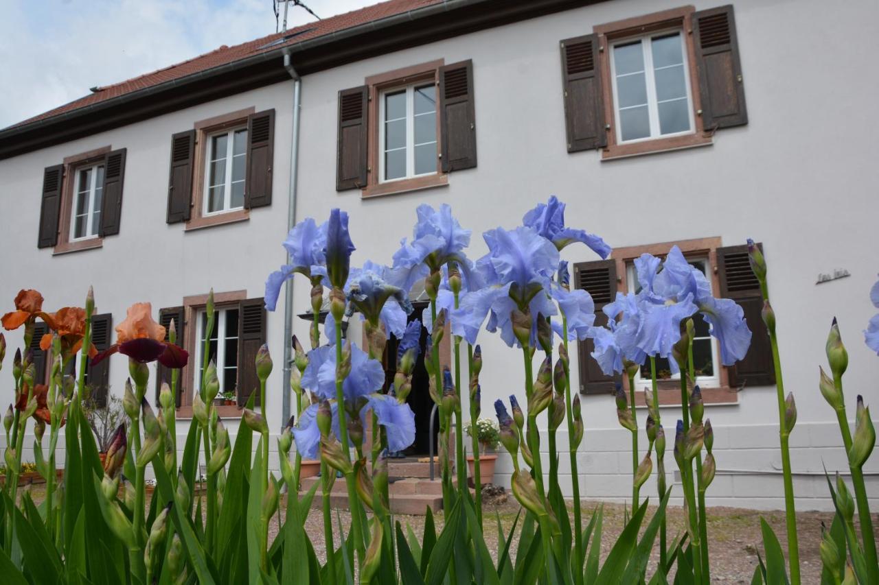 Apartmán Ferme Les Iris Issenheim Exteriér fotografie